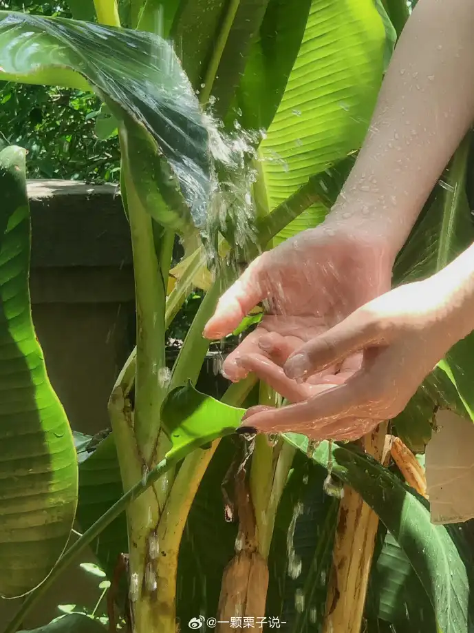 赵奕欢下载数据分析